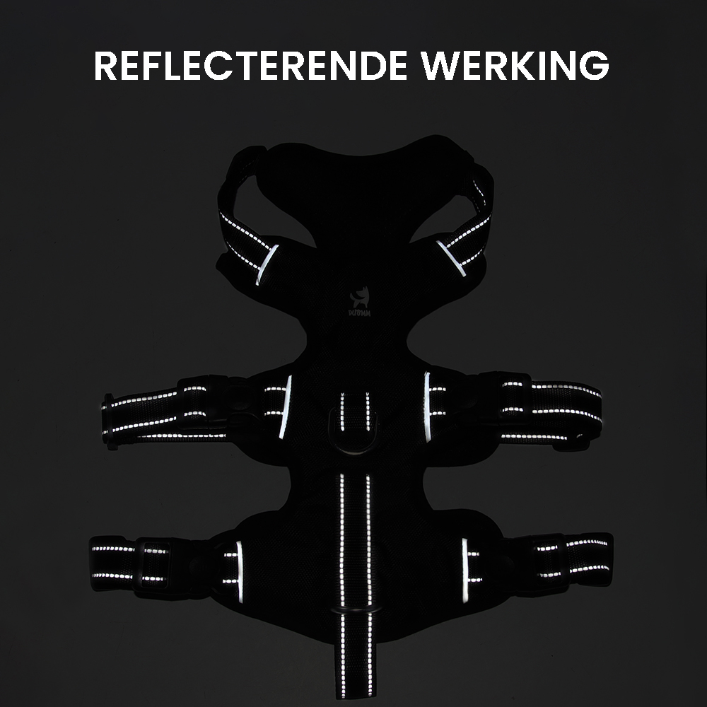 No-pull dog harness with reflective strips and adjustable fit
