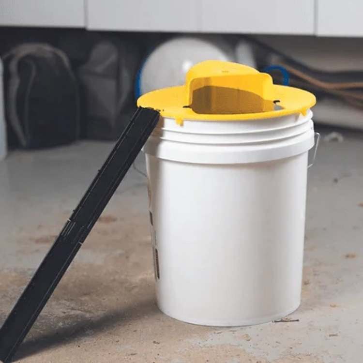 Automatic reusable mouse trap for rodent control
