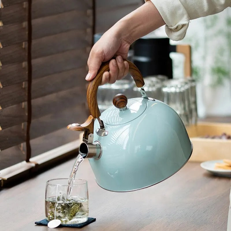 Whistling Kettle with Ergonomic Handle and Induction Base