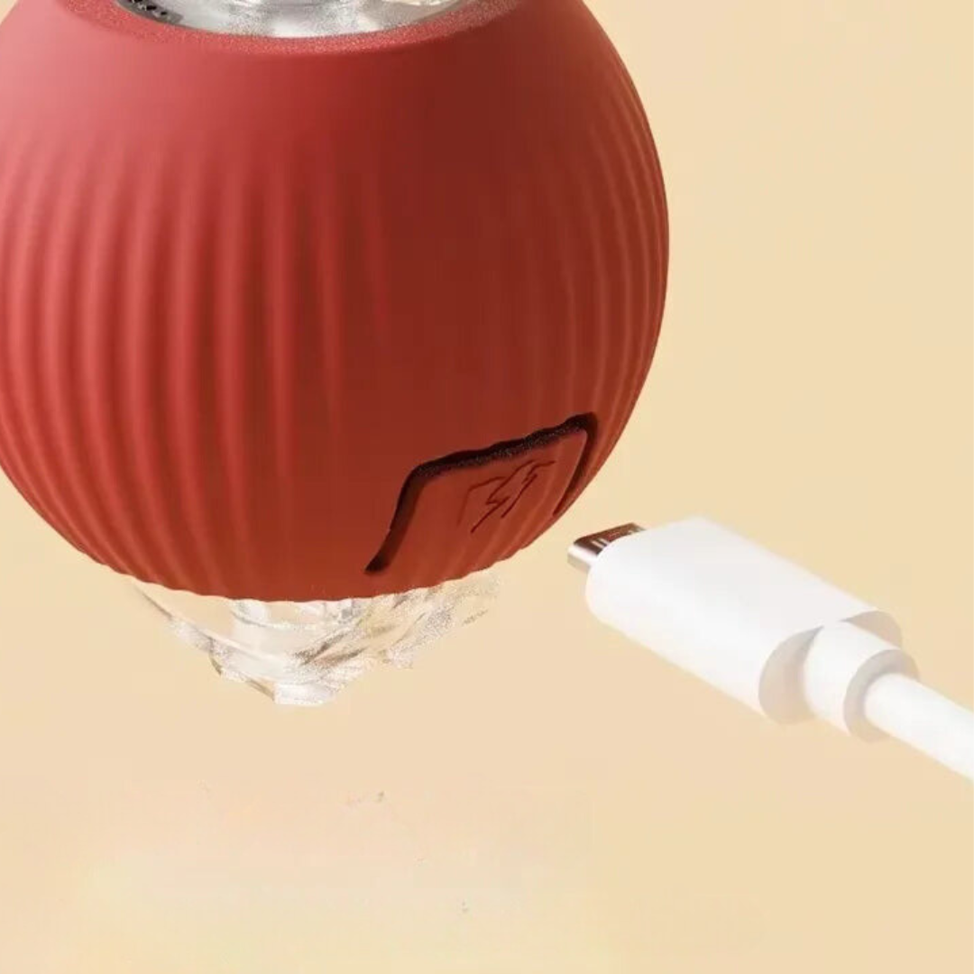 Dog toy with rolling ball and moving tail