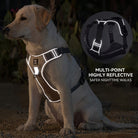 No-pull dog harness with reflective strips and adjustable fit