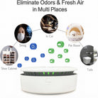Cordless air purifier with ozone technology for odour removal