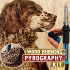 Wood Burning Pen Set With Adjustable Temperature And Tips