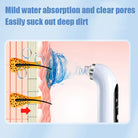 Pore Cleanser With Interchangeable Heads And Suction Settings
