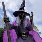 Halloween Decoration with Flying Witch and Light Effects