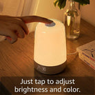 Alarm Clock Lamp Sunrise Sunset Sounds Night Light