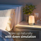Alarm Clock Lamp Sunrise Sunset Sounds Night Light