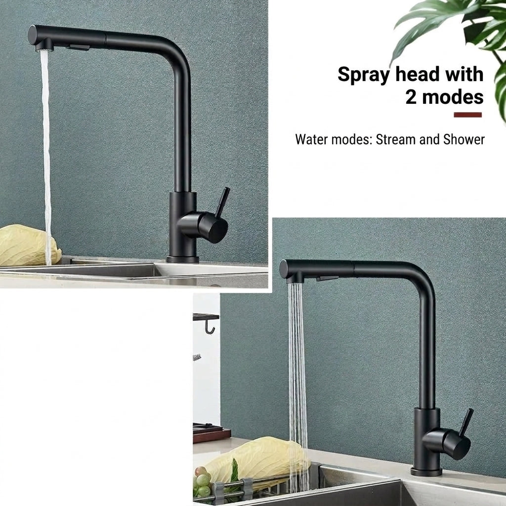 Kitchen Faucet with Pull Out Spray Head and Ceramic Valve