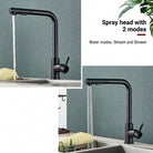 Kitchen Faucet with Pull Out Spray Head and Ceramic Valve