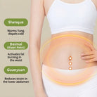 Belly Patch with Mugwort Herbal Ingredients for Abdominal Area