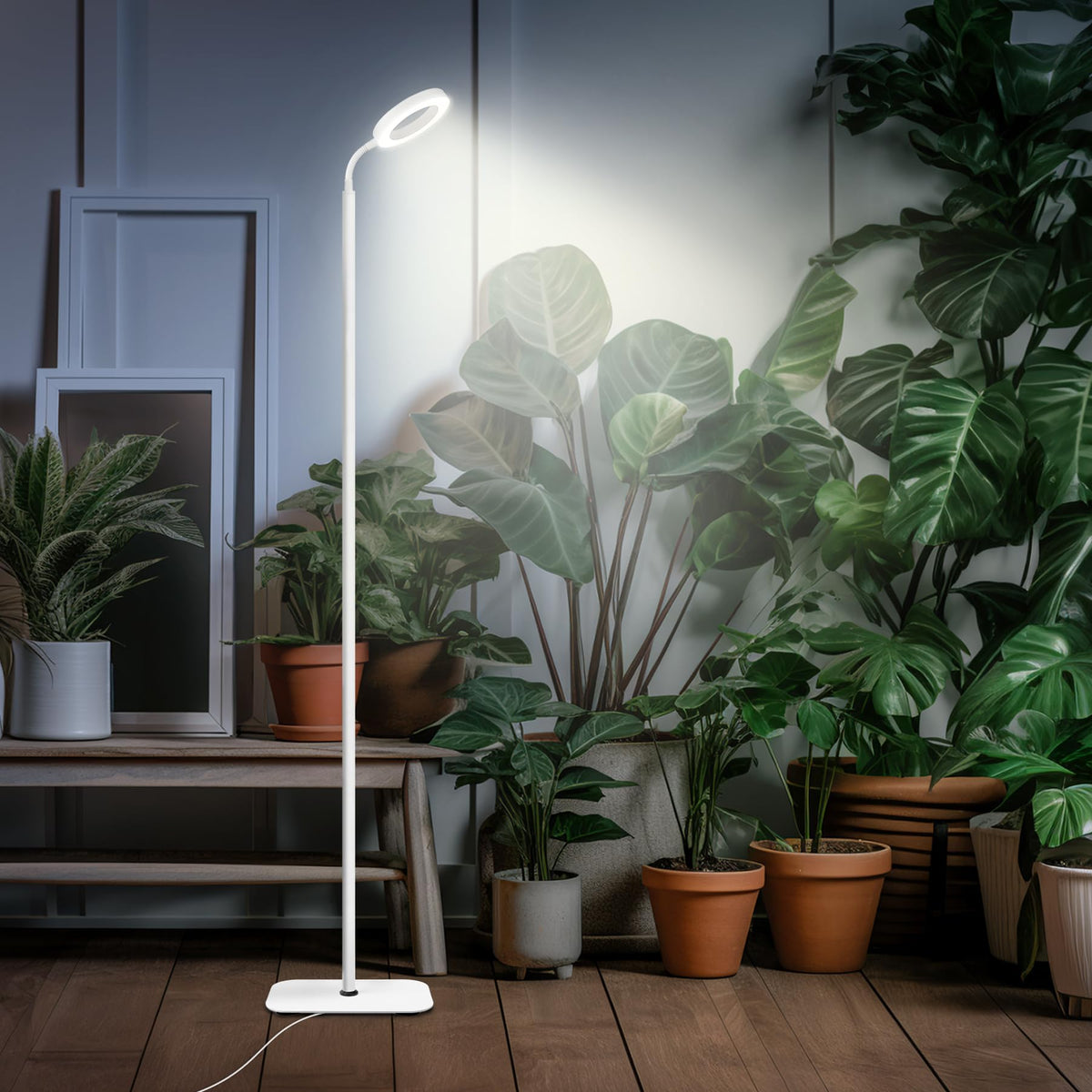 Grow light with flexible gooseneck and timer function