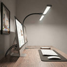 Desk Lamp With Flexible Neck And Dimmable Light