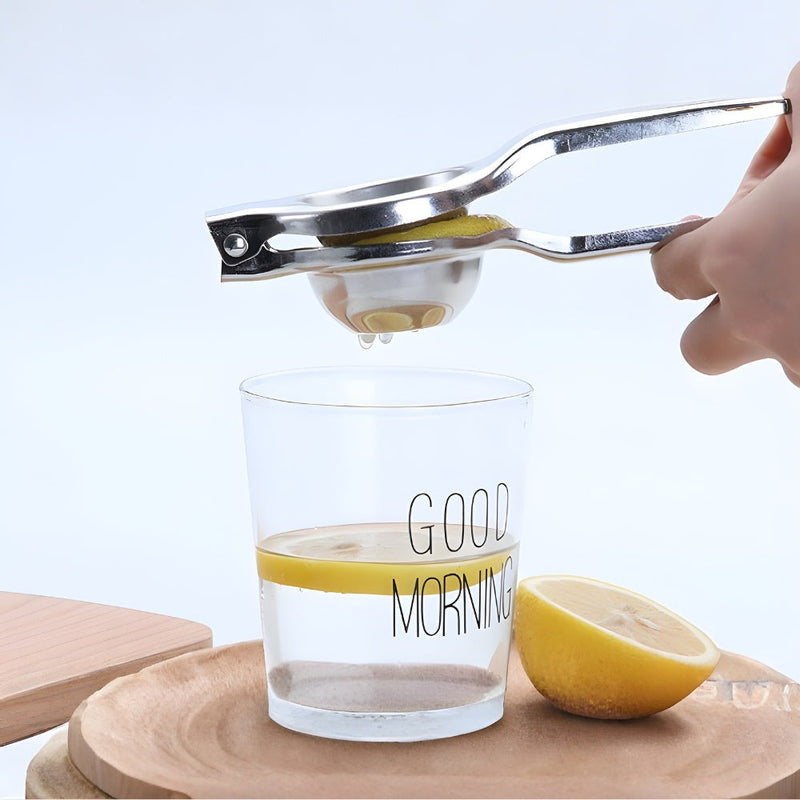 Manual Citrus Juicer With Stainless Steel Body