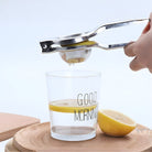 Manual Citrus Juicer With Stainless Steel Body