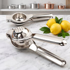 Manual Citrus Juicer With Stainless Steel Body