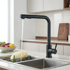 Kitchen Faucet with Pull Out Spray Head and Ceramic Valve - black