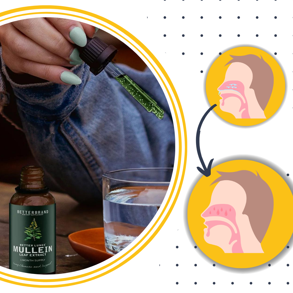 Mullein tincture with chlorophyll for respiratory support