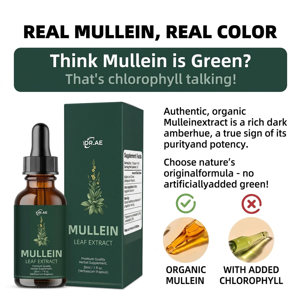 Mullein tincture with chlorophyll for respiratory support