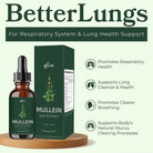Mullein tincture with chlorophyll for respiratory support