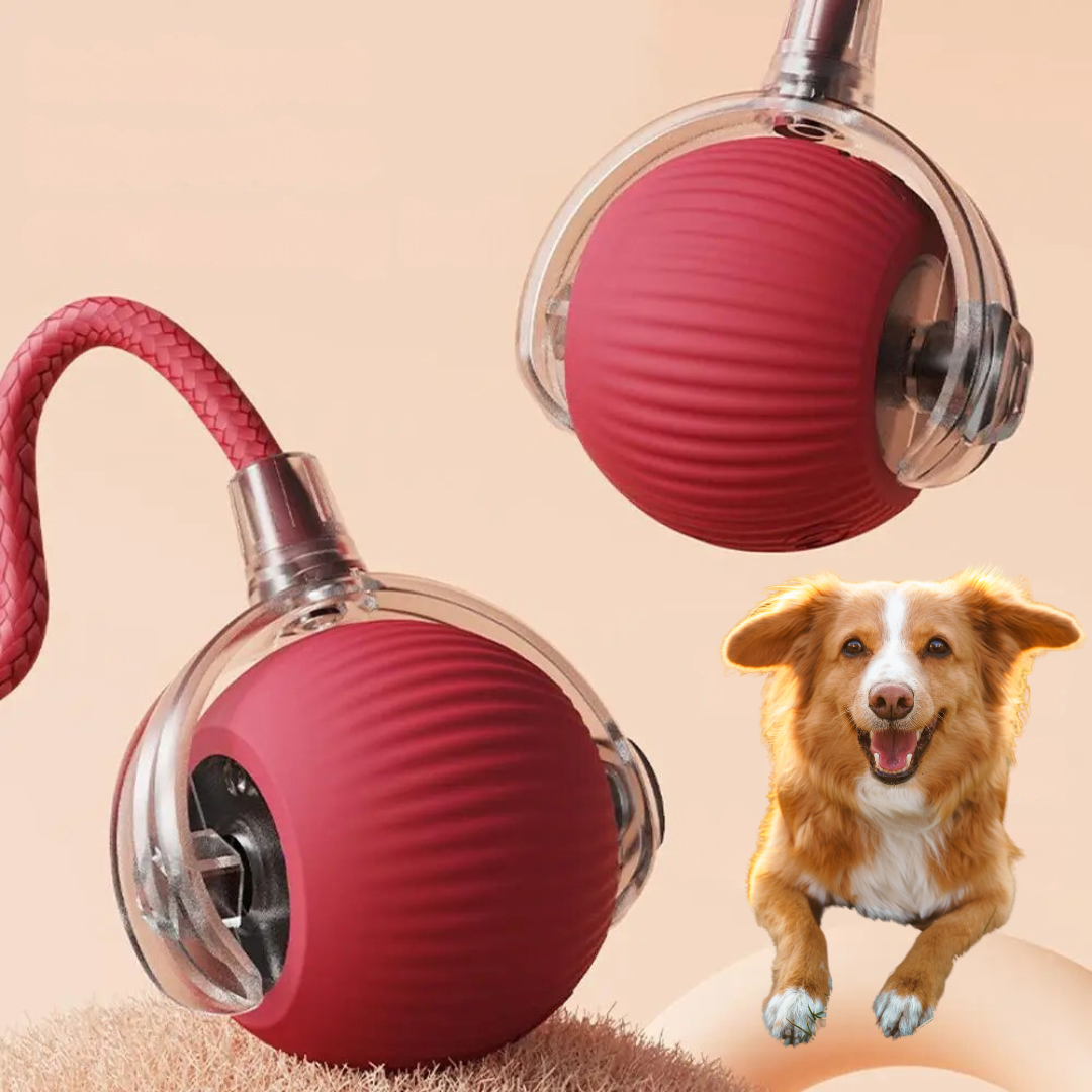 Dog toy with rolling ball and moving tail